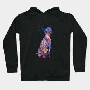 Vizsla Hoodie